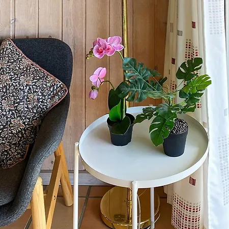 12 Person In ノーポ