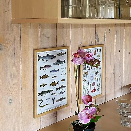 Holiday home 12 Person In Nordborg