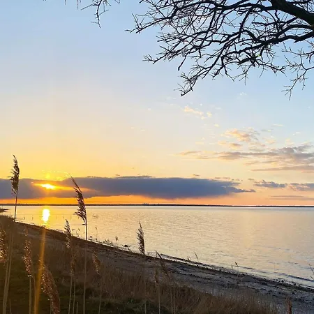 4 Star In *