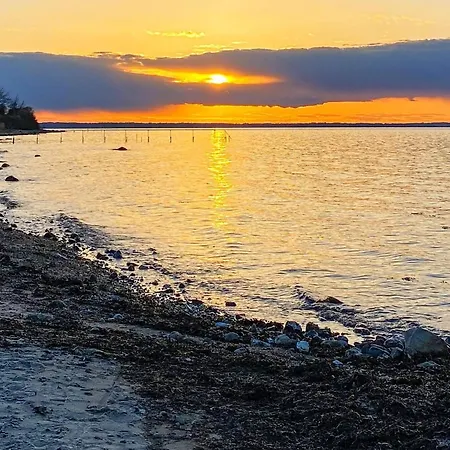 12 Person In Holiday home